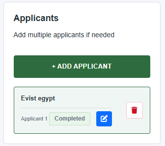 Egypt eVisa add new applicant Form Guide