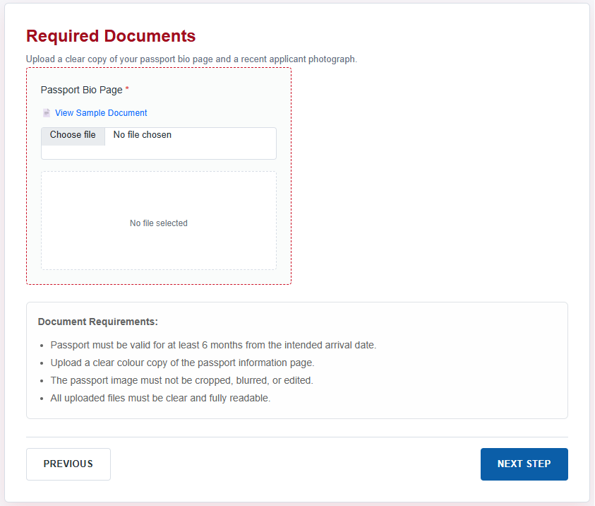 Egypt eVisa document Form Guide