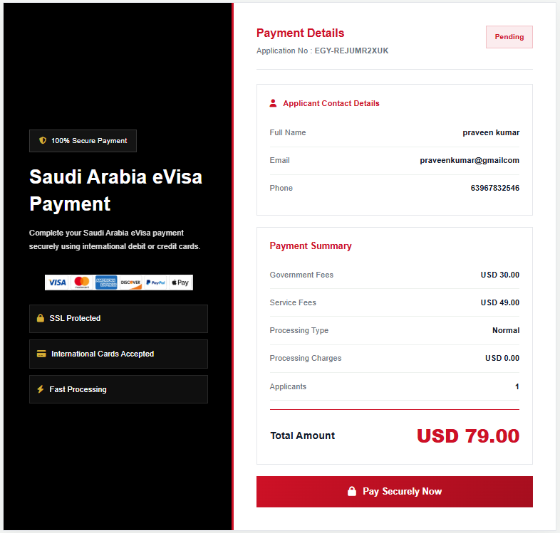 Egypt eVisa payment Form Guide